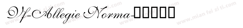 Vf-Allegie Norma字体转换